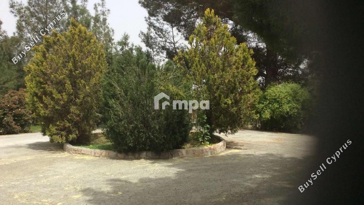 4 bedroom detached house for sale klirou nicosia 1728691 image 5524384