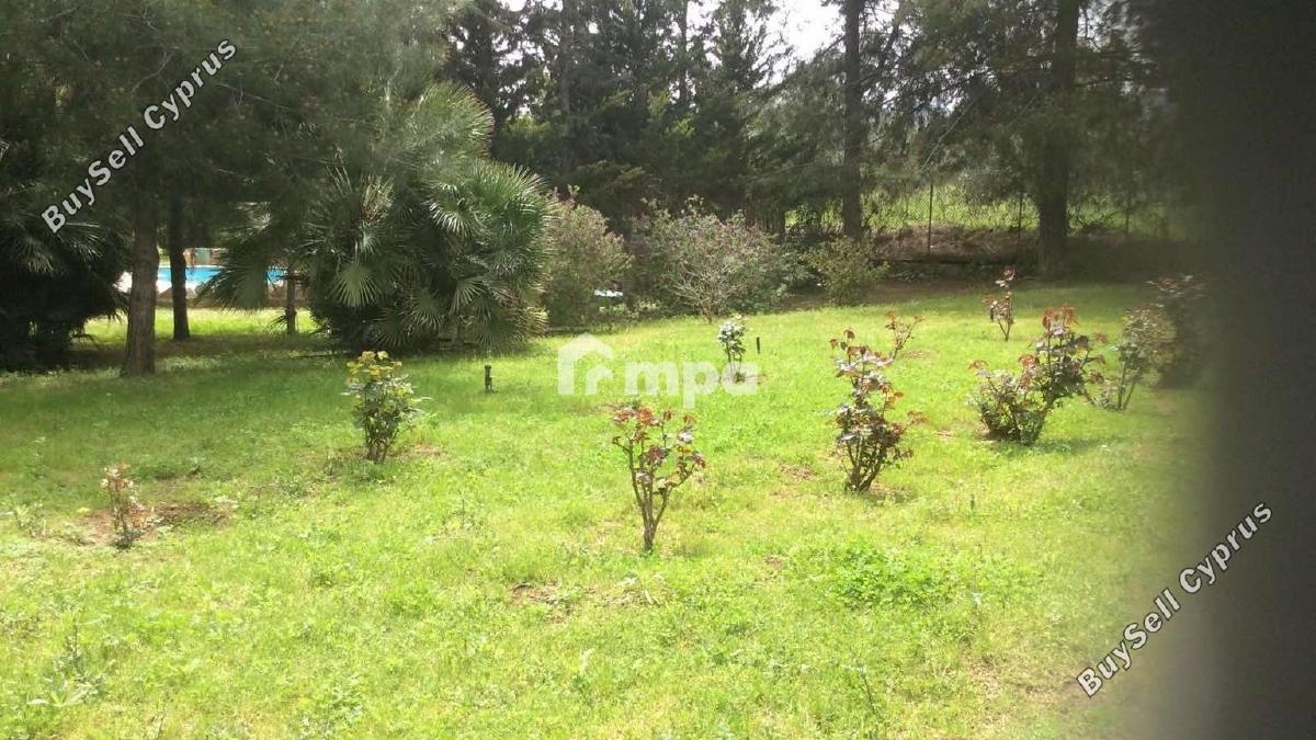 4 bedroom detached house for sale klirou nicosia 1728691 image 5524386