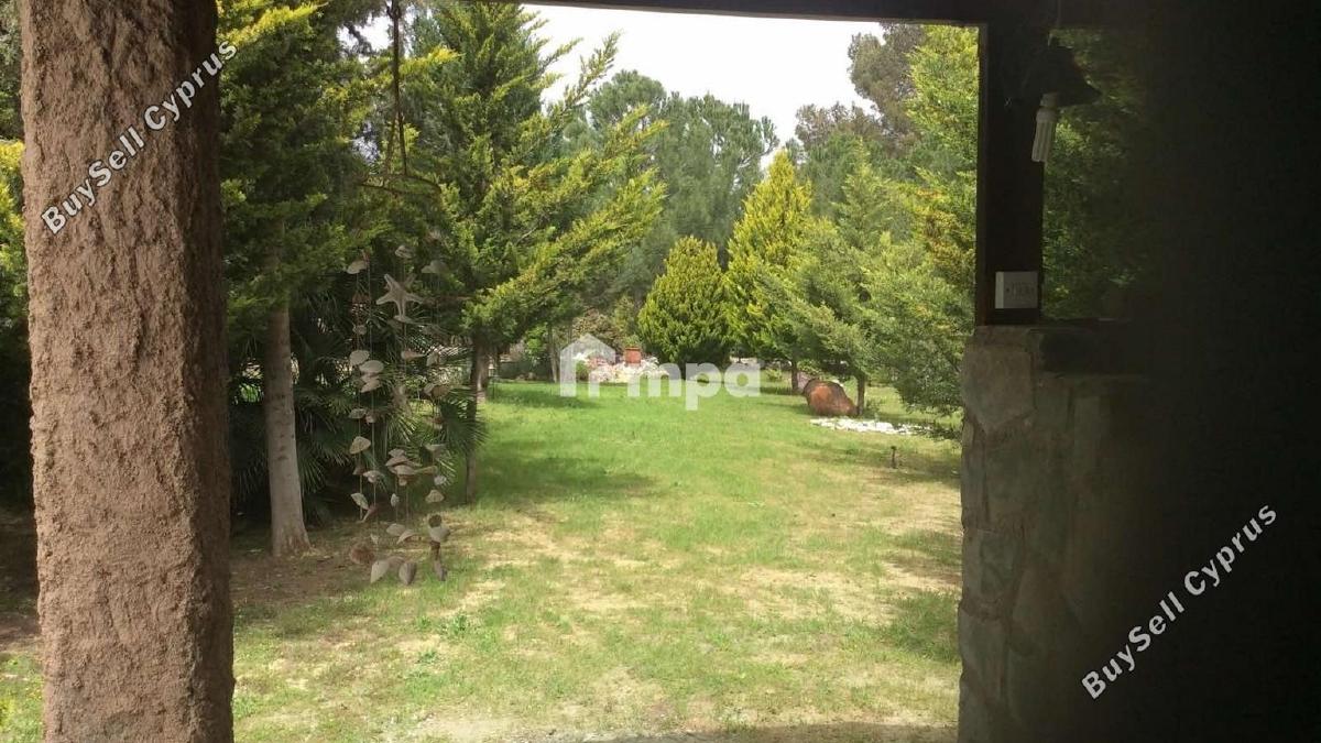 4 bedroom detached house for sale klirou nicosia 1728691 image 5524388