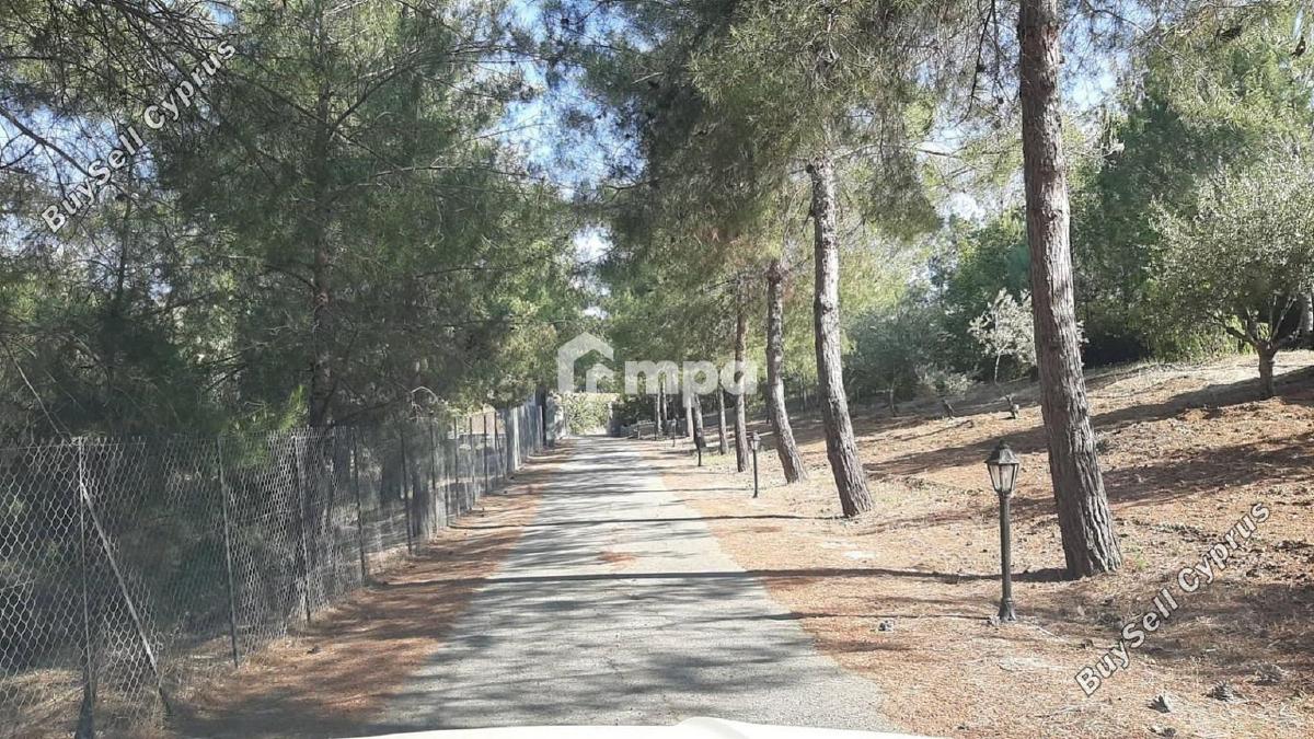 4 bedroom detached house for sale klirou nicosia 1728691 image 5524416