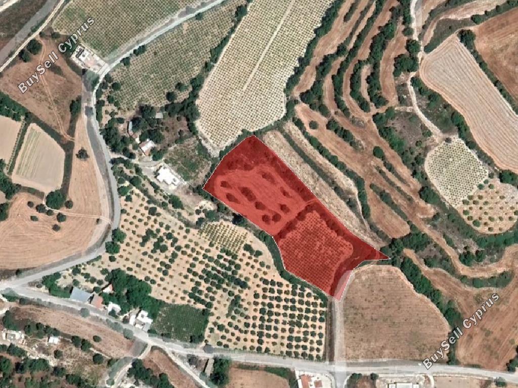 land for sale fyti paphos 954691 image 15599792