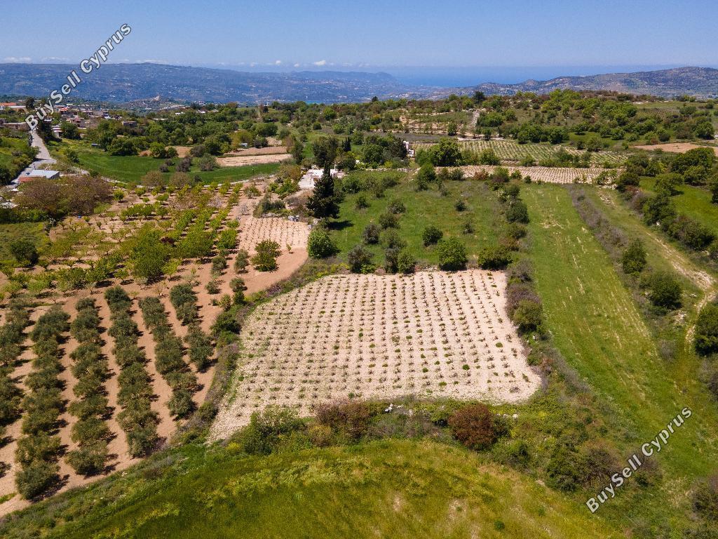 land for sale fyti paphos 954691 image 15599793