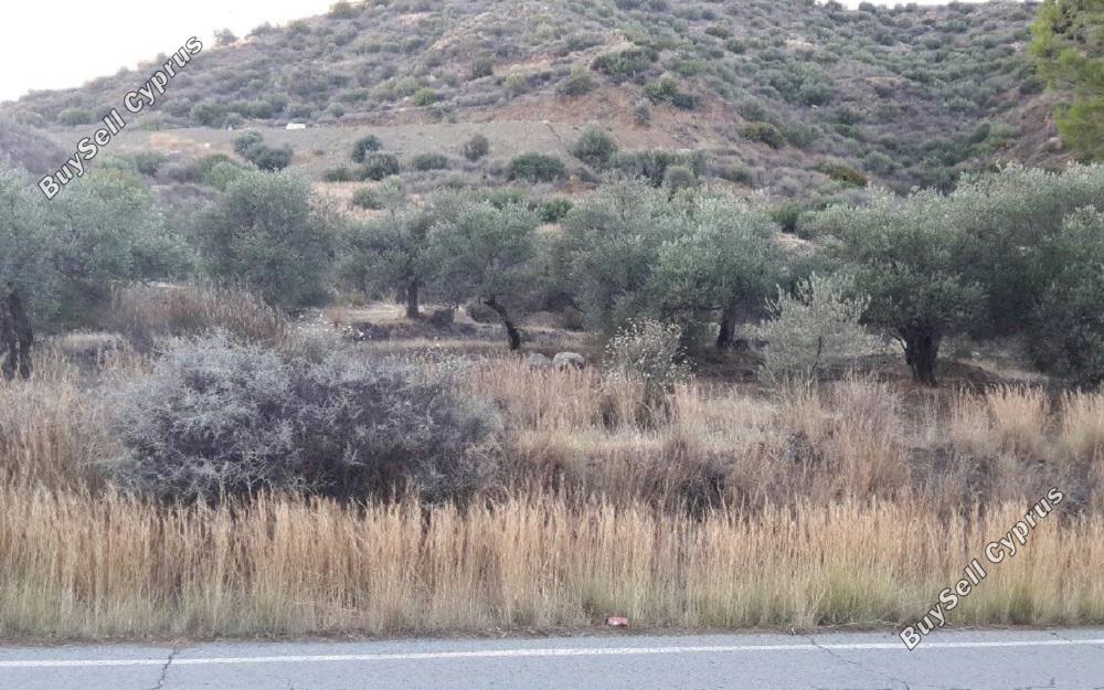 land for sale ora larnaca 830691 image 16545371