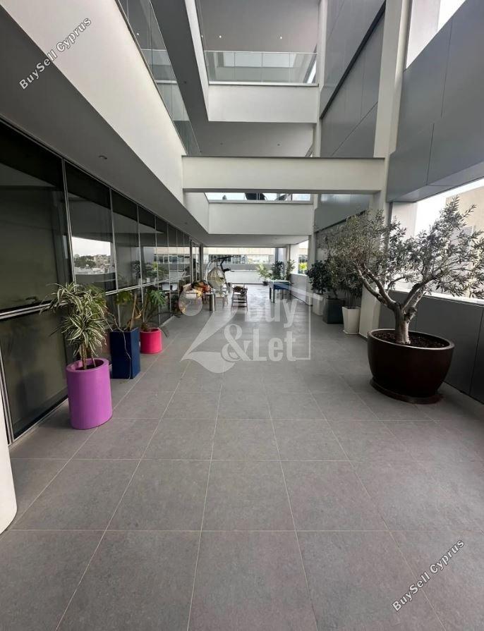 studio office for rent linopetra limassol 8699691 image 17185498