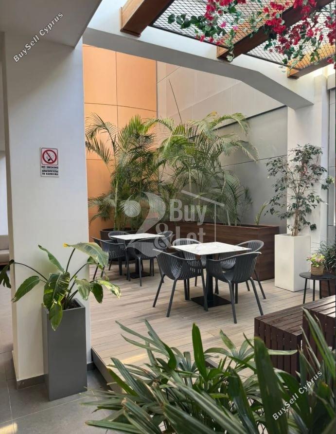 studio office for rent linopetra limassol 8699691 image 17185500