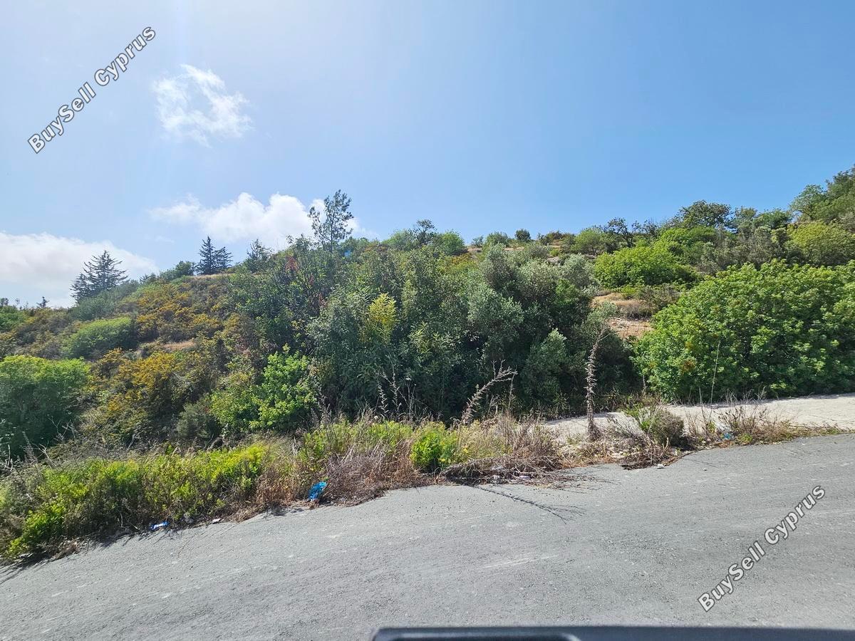 land for sale tsada paphos 1834791 image 6505678