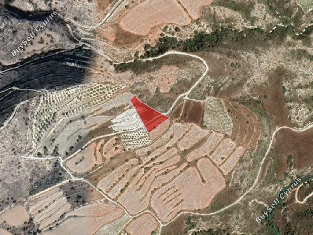 land off market pachna limassol 1032791 image 15603355