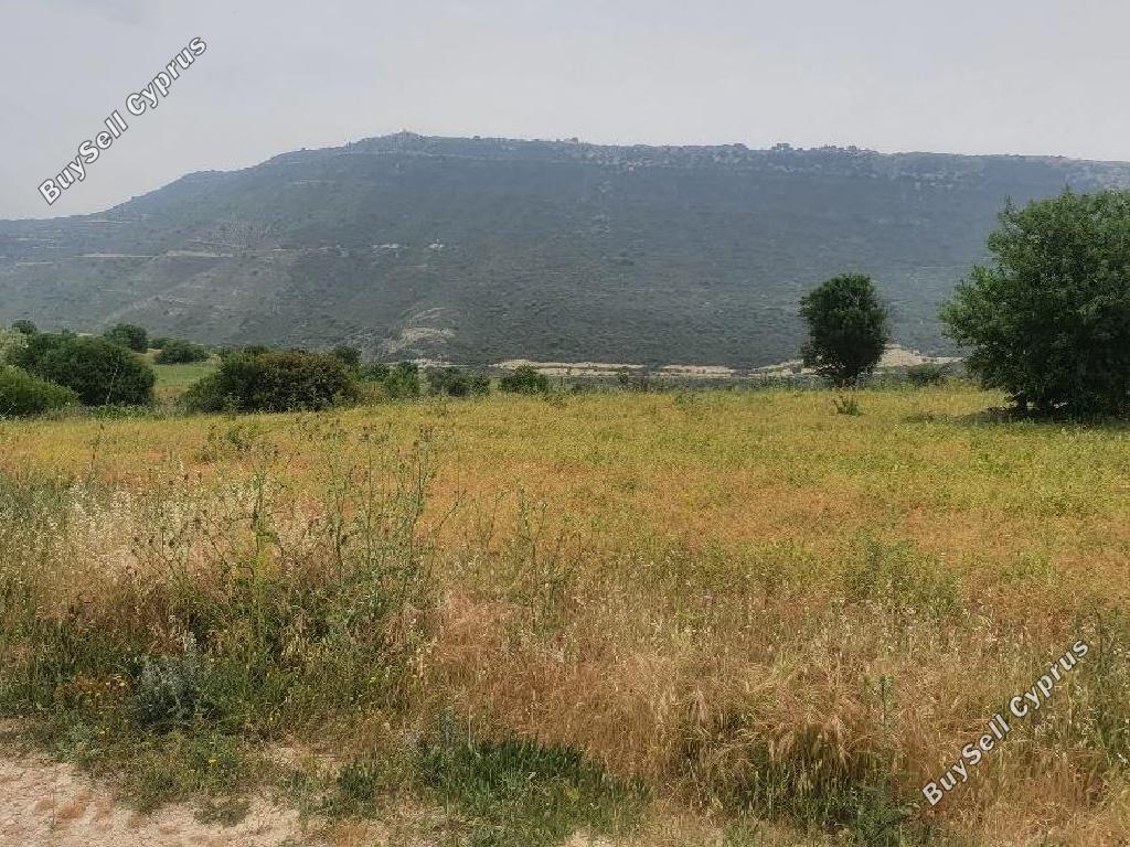 land off market pachna limassol 1032791 image 15603356