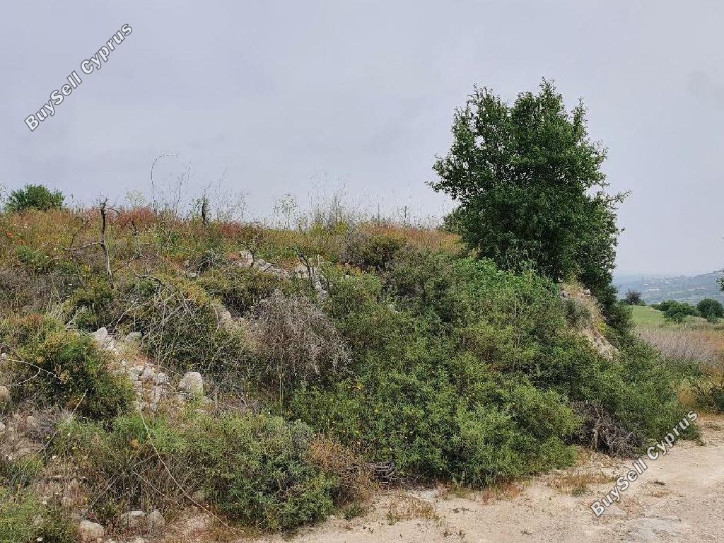 land off market pachna limassol 1032791 image 15603357