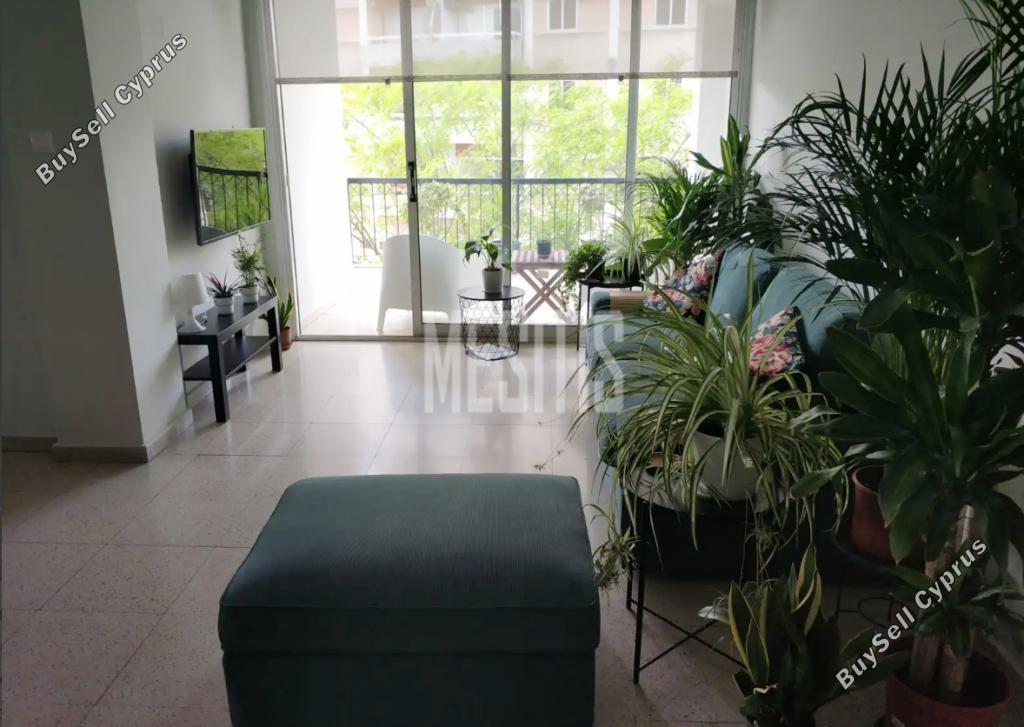 2 bedroom apartment for rent lykavitos nicosia 1669991 image 10520594