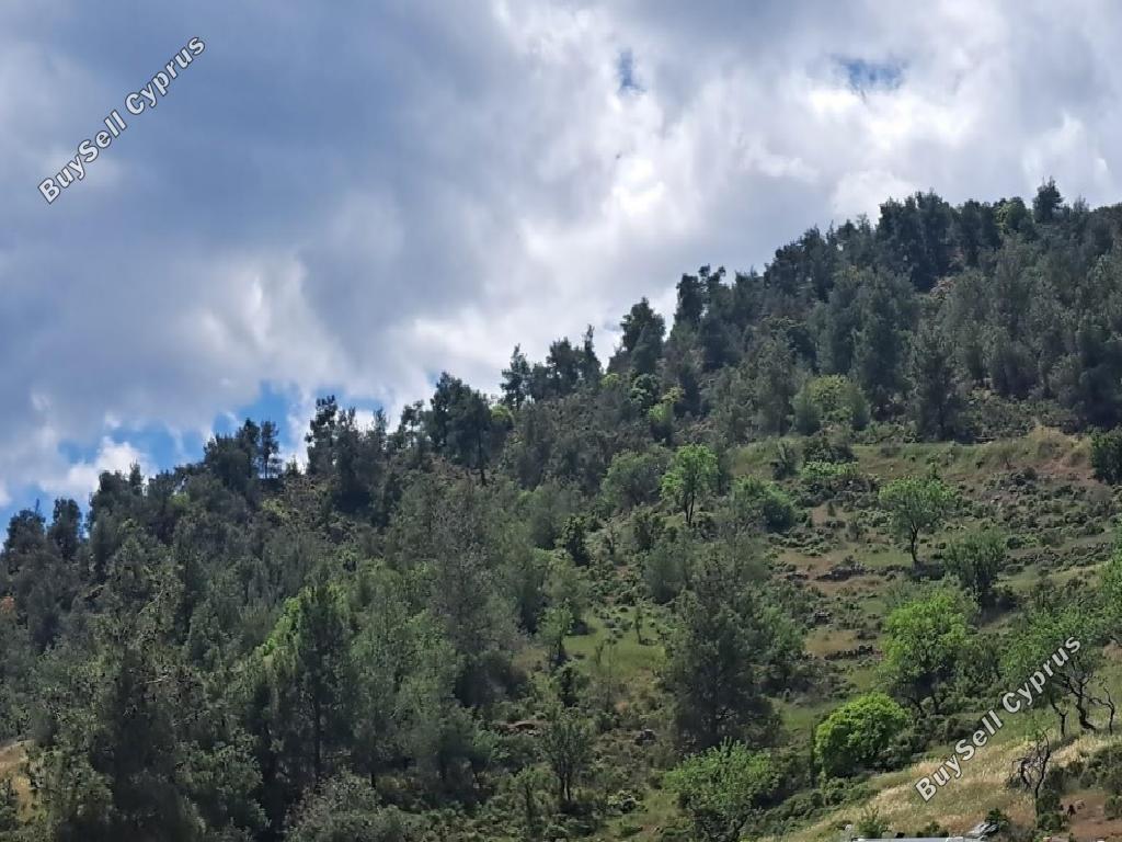 land for sale agios epifanios oreinis nicosia 1256991 image 7036448