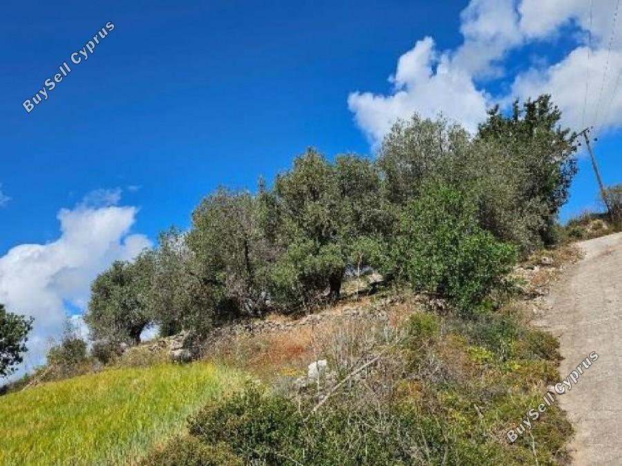 land for sale drynia paphos 8531991 image 16277467