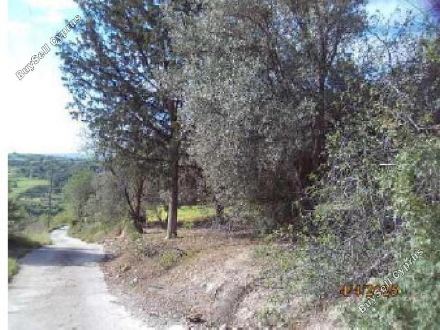 land for sale drynia paphos 8531991 image 16277468