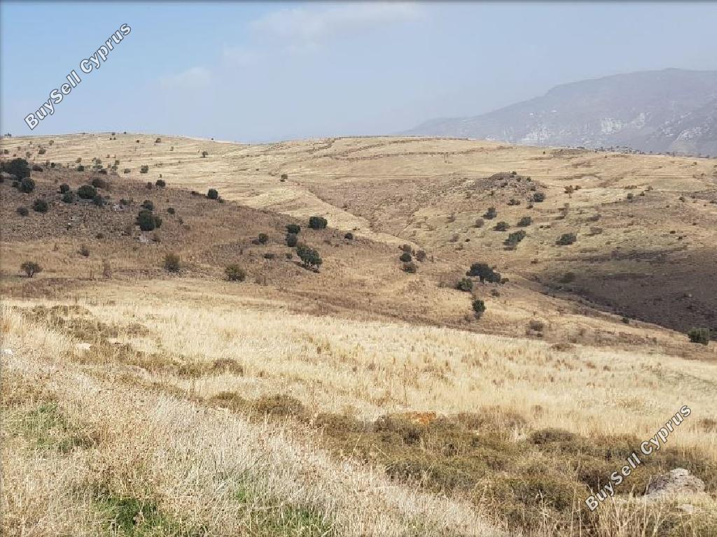 land for sale pentalia paphos 945991 image 15599659