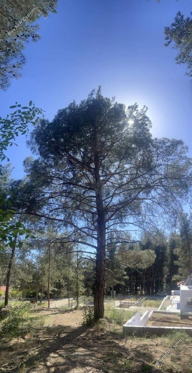 plot for sale saittas limassol 1682991 image 10057108