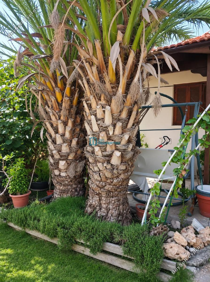 3 bedroom bungalow for sale meneou larnaca 9010002 image 18410360