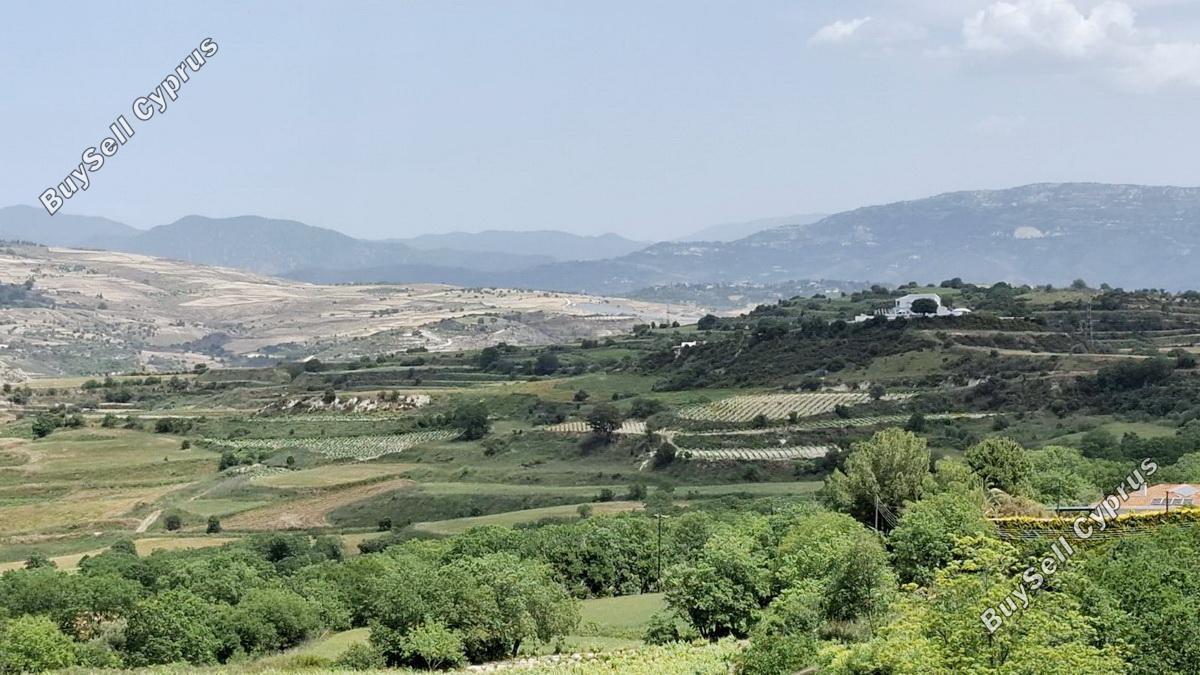 land for sale stroumbi paphos 1797002 image 5979505