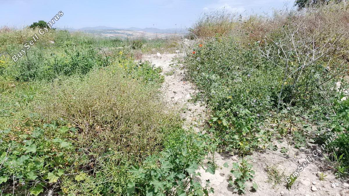 land for sale stroumbi paphos 1797002 image 5979506