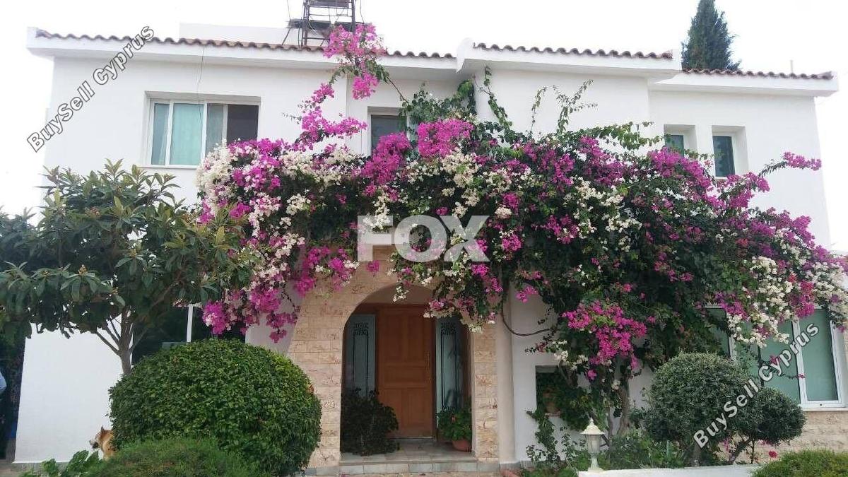 5 bedroom detached house for rent paphos municipality paphos 1733102 image 10044544
