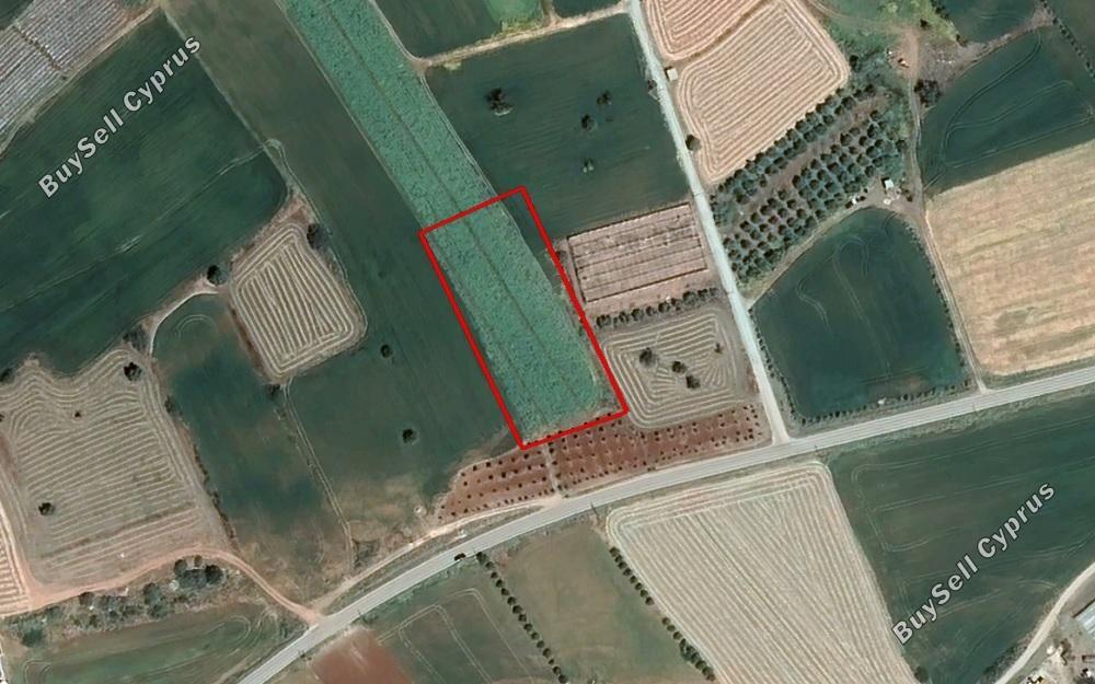 land for sale mazotos larnaca 831102 image 2346700