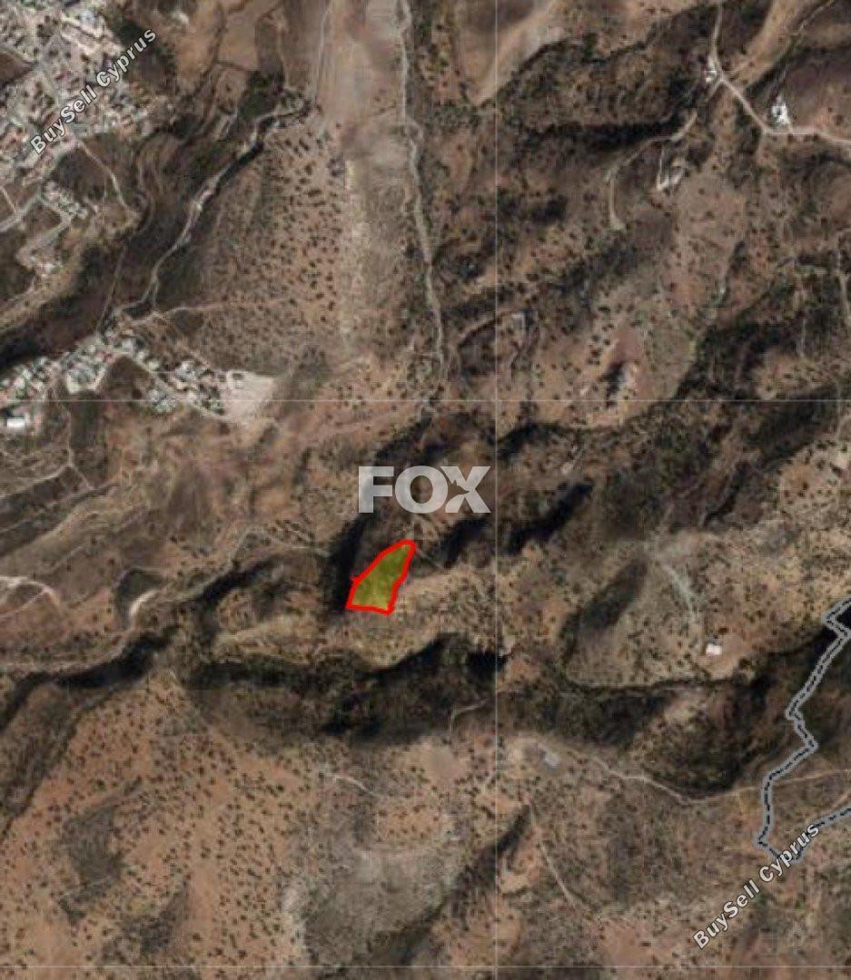land for sale peyia paphos 1161102 image 10031783