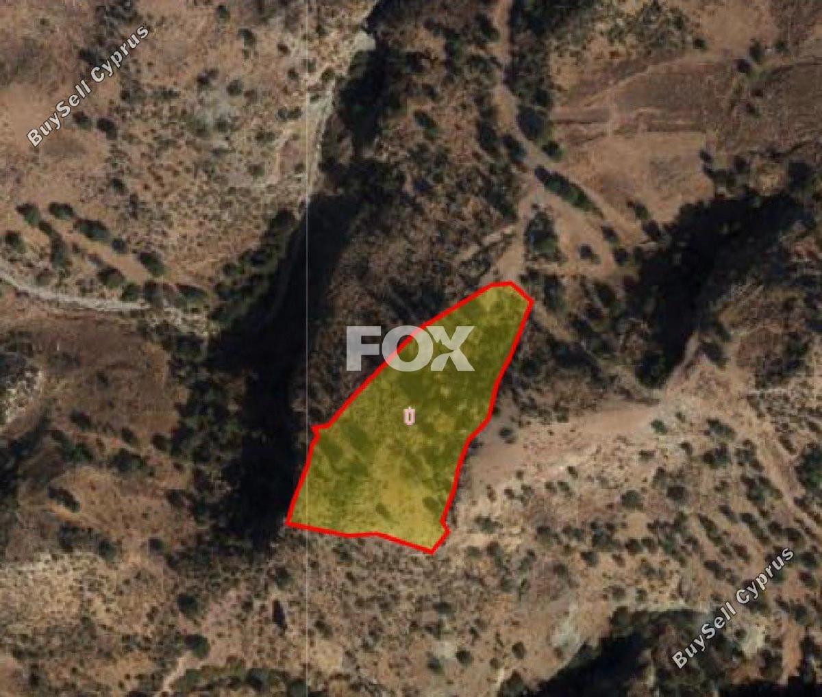 land for sale peyia paphos 1161102 image 10031784