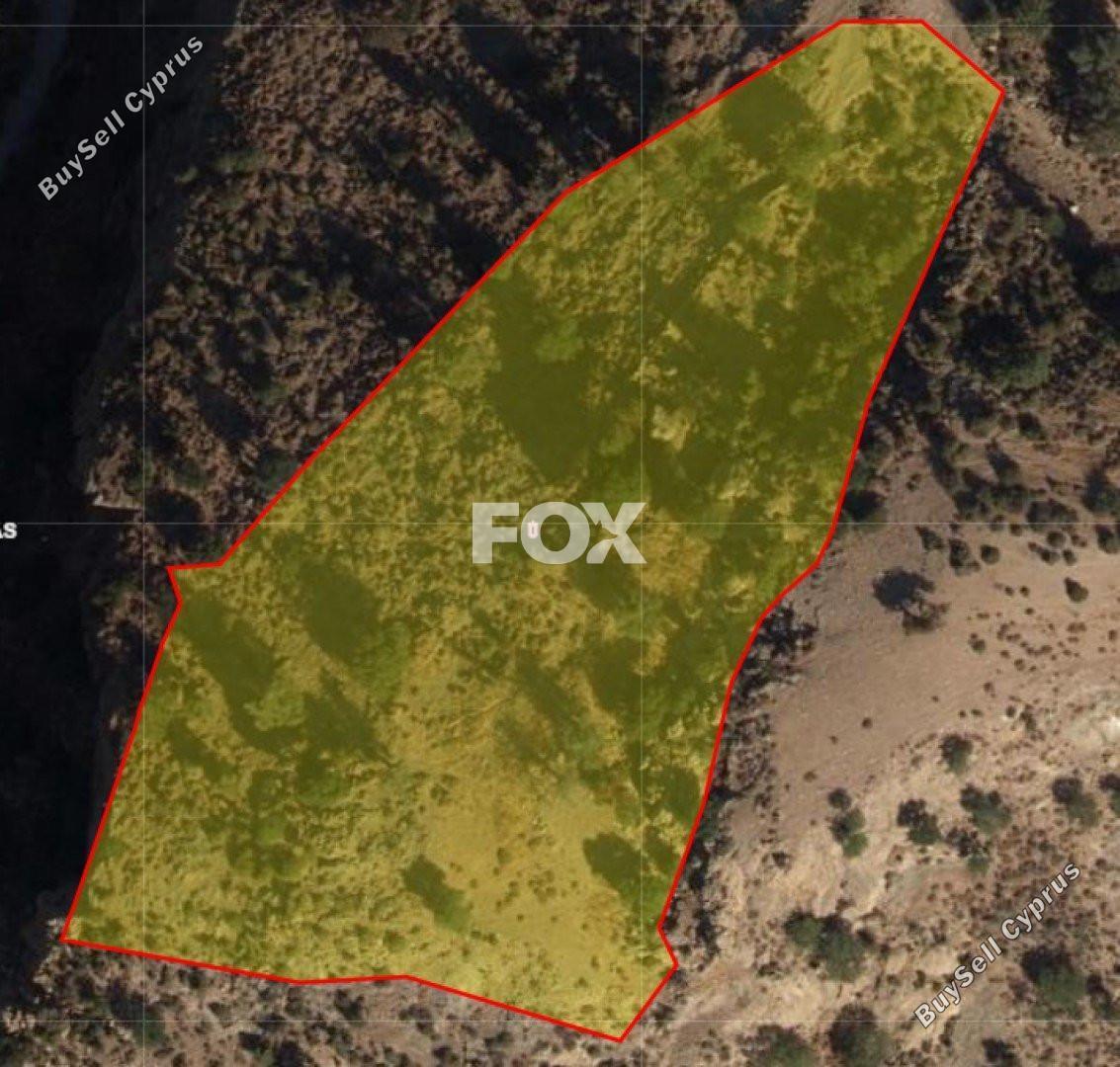 land for sale peyia paphos 1161102 image 10031785