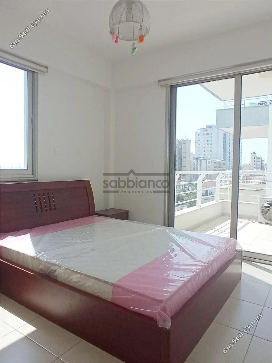 2 bedroom apartment for rent larnaca municipality larnaca 8740202 image 16379217