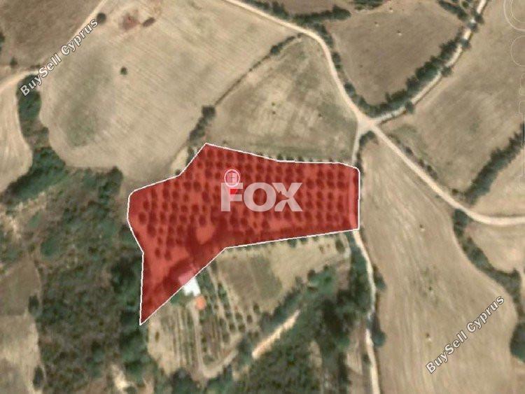 land for sale goudi paphos 1159202 image 5519296