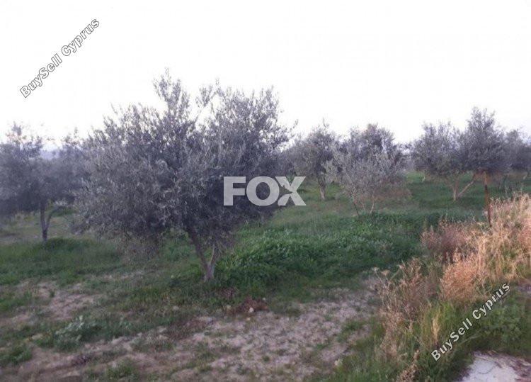 land for sale goudi paphos 1159202 image 5519300