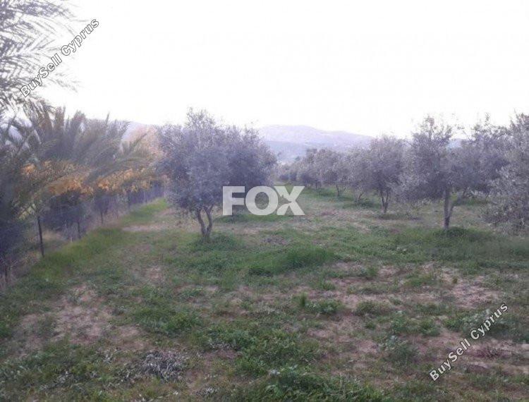land for sale goudi paphos 1159202 image 5519304