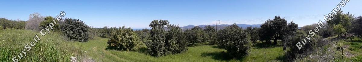 2800 SQM Land for sale in Pano Akourdalia, Paphos 411504