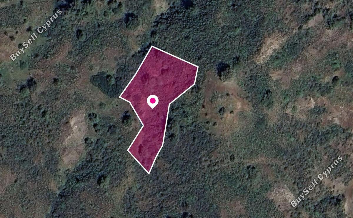 land for sale pigenia nicosia 1381302 image 2819691