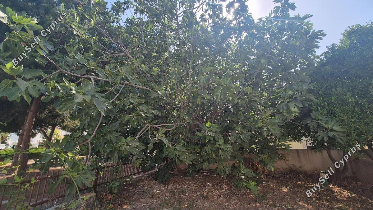 3 bedroom detached house for sale dekeleia larnaca 1822402 image 9812357