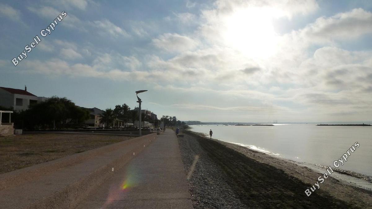 4 bedroom detached house for rent dekeleia larnaca 8665402 image 16258659