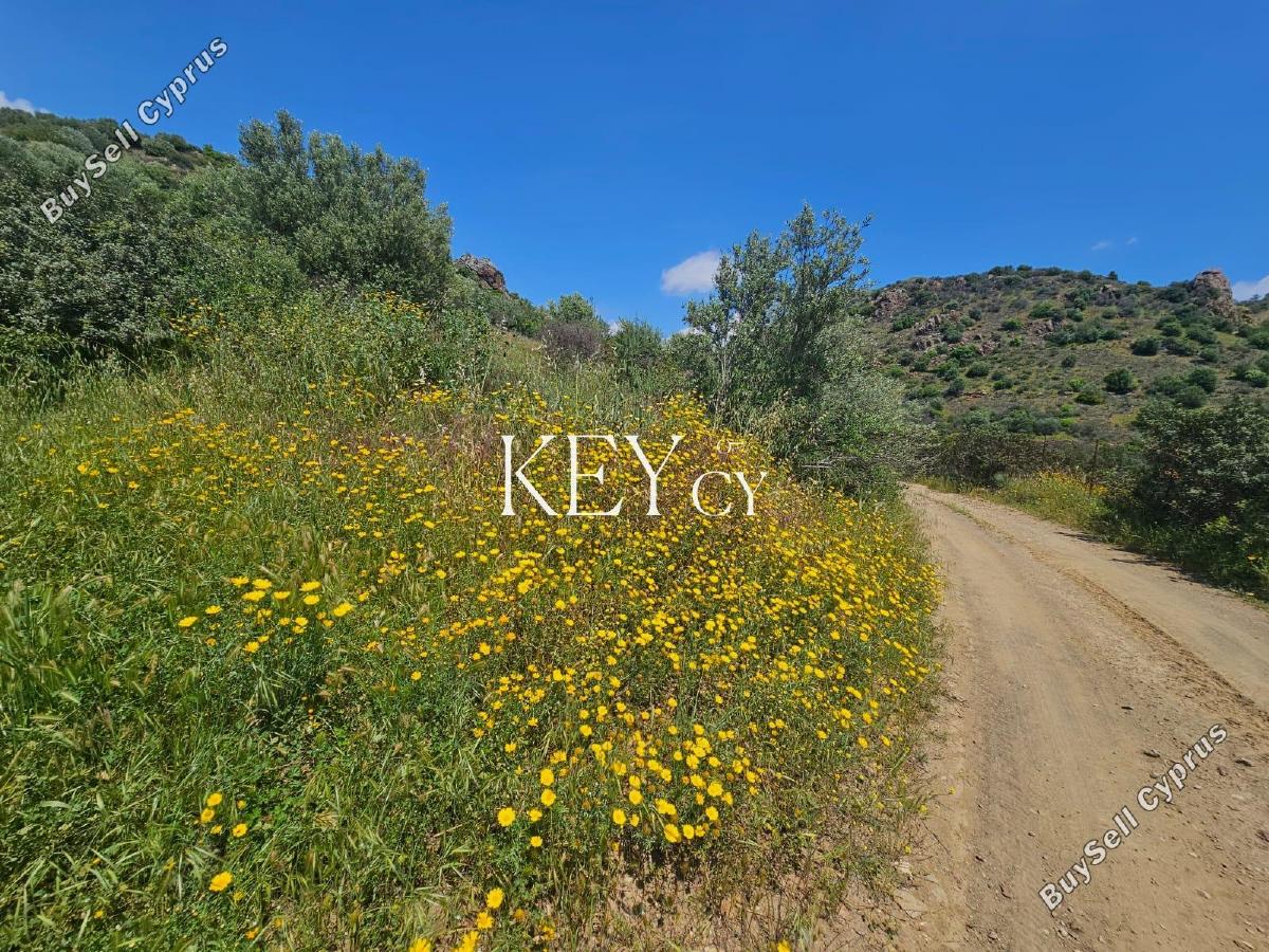 land for sale pano lefkara larnaca 8890402 image 17319641