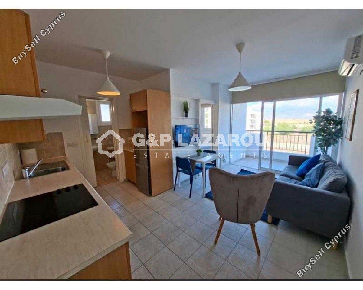 1 bedroom apartment for rent aglantzia nicosia 8244502 image 16335268
