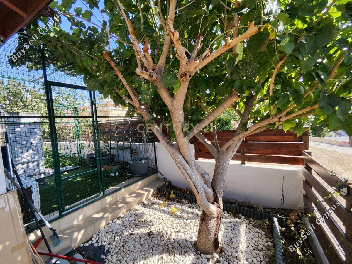 2 bedroom detached house for sale parekklisia limassol 8468502 image 16633454