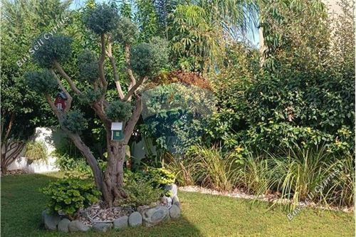 4 bedroom detached house for rent kallithea nicosia 7533502 image 14134116