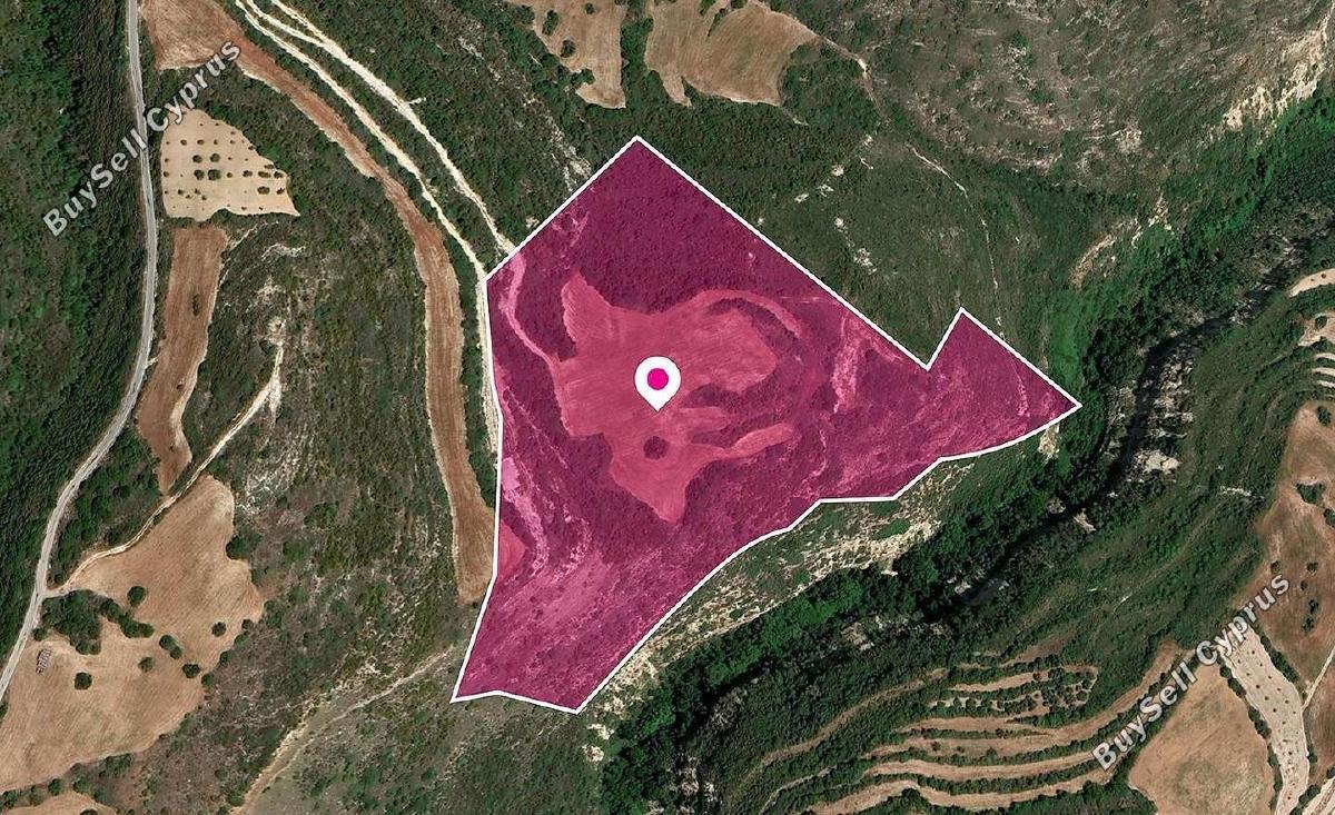 land for sale kritou tera paphos 1897502 image 14205957