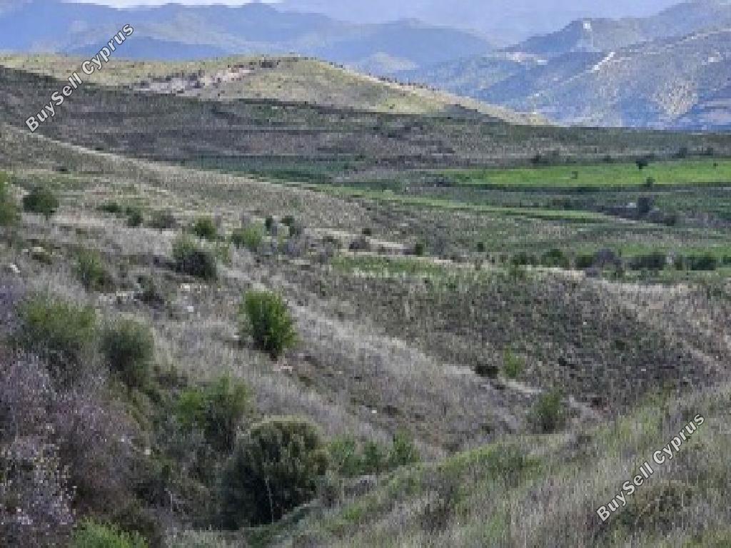 7693 SQM Land for sale in Galataria, Paphos 16717368
