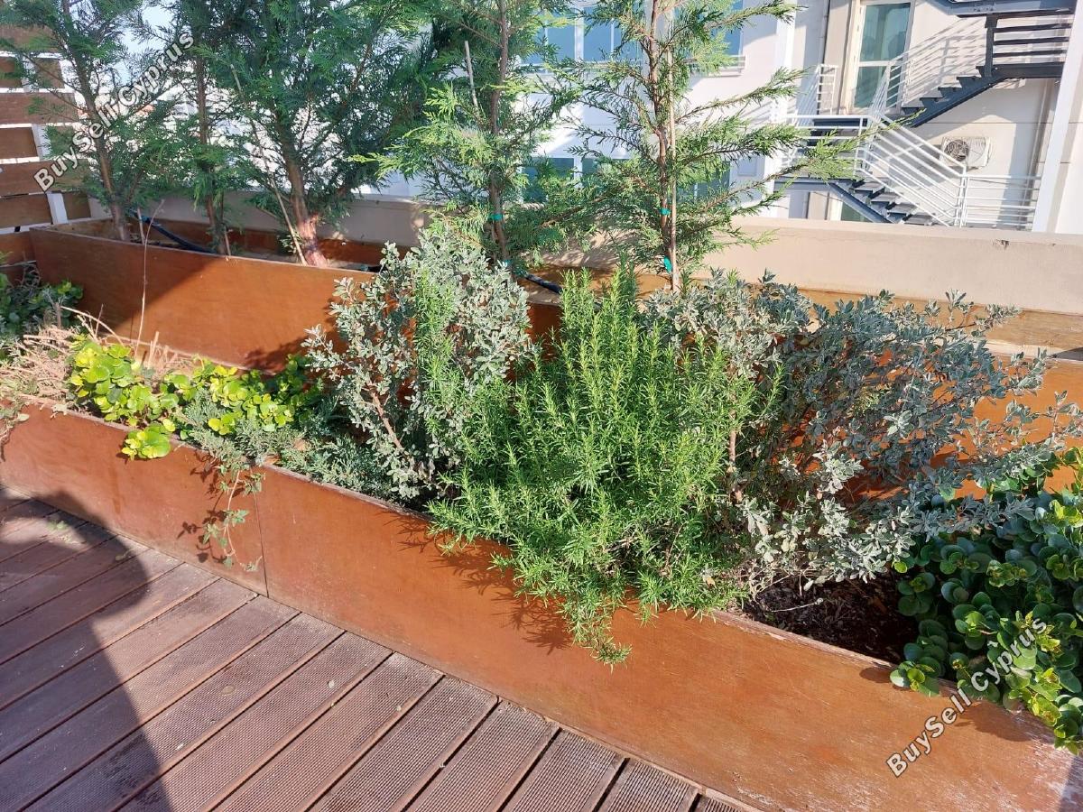 2 bedroom penthouse for rent strovolos nicosia 1305602 image 16183687