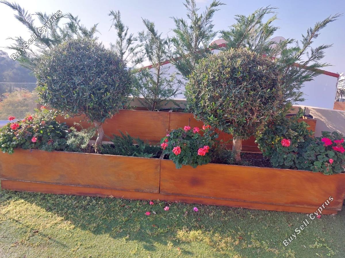2 bedroom penthouse for rent strovolos nicosia 1305602 image 16183695