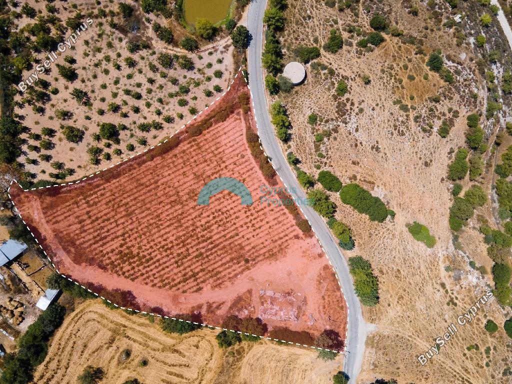 land for sale fyti paphos 1938702 image 16013588