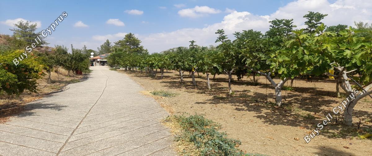land for sale klirou nicosia 1511802 image 16168517