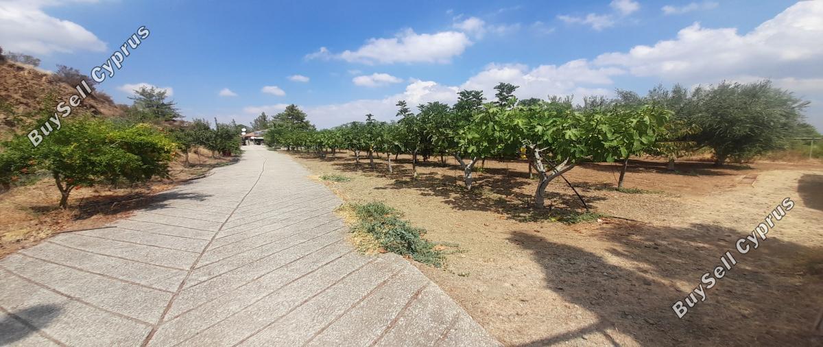 land for sale klirou nicosia 1511802 image 16168518