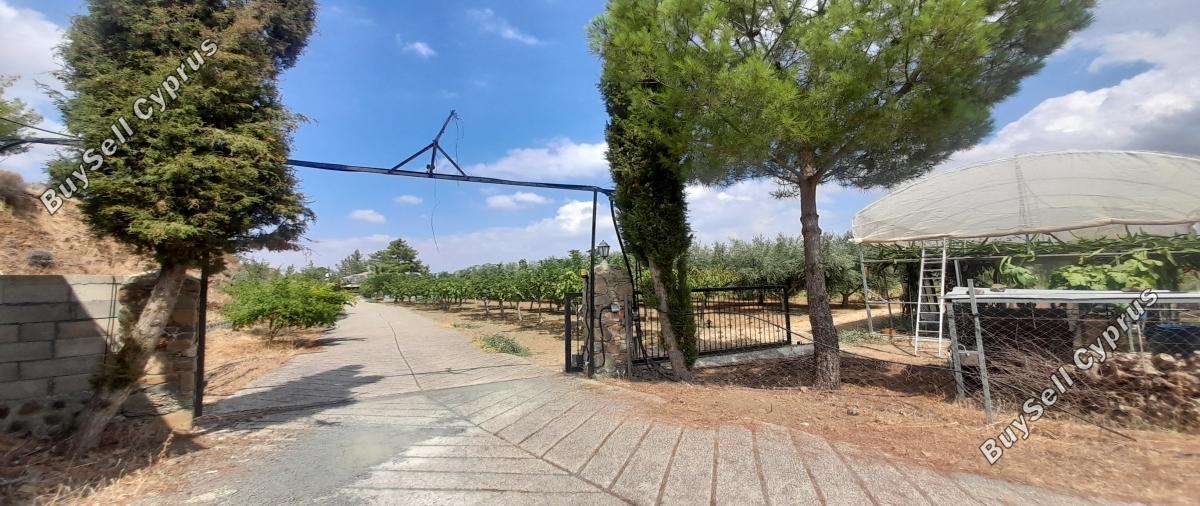 land for sale klirou nicosia 1511802 image 16168520