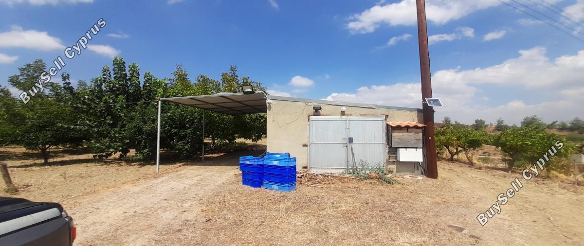 land for sale klirou nicosia 1511802 image 16168529