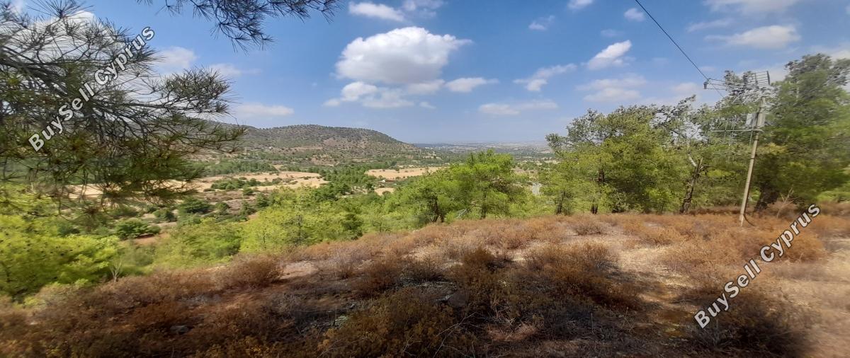 land for sale klirou nicosia 1511802 image 16168537