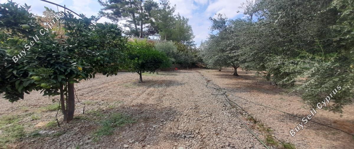 land for sale klirou nicosia 1511802 image 16168556